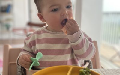 L&rsquo;alimentation de bébé sans produits laitiers : comment apporter du calcium ?