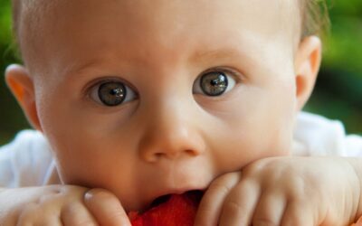 Quand et comment introduire les morceaux avec bébé ?