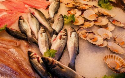 Le poisson dans l’alimentation de bébé : quand, comment et lequel choisir ?