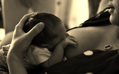 Commencer la diversification alimentaire chez un bébé allaité : on répond à vos questions